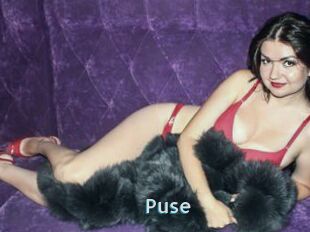 Puse