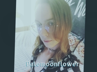 Palemoonflower