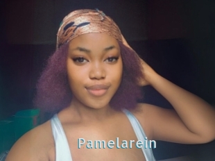 Pamelarein