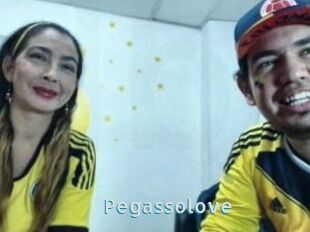 Pegasso_love