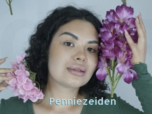 Penniezeiden