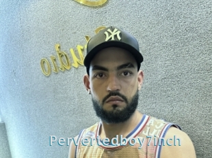 Pervertedboy7inch