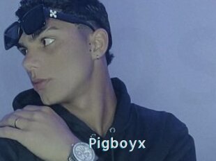 Pigboyx