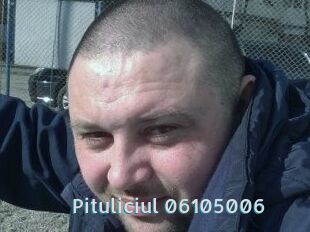 Pituliciul-06105006