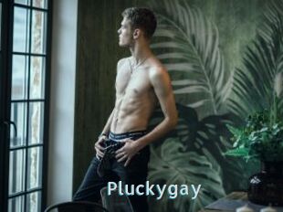Pluckygay