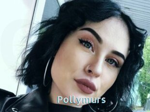 Pollymurs