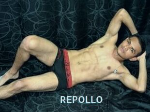 REPOLLO