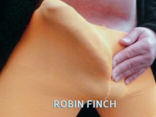 ROBIN_FINCH