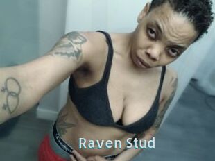 Raven_Stud