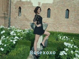 Rosexoxo