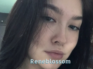 Reneblossom