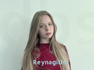 Reynagitter