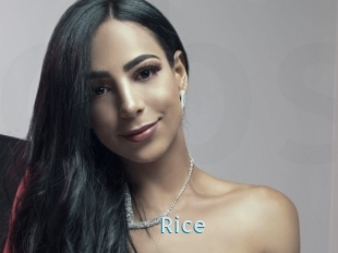 Rice