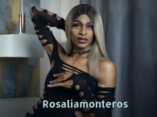 Rosaliamonteros