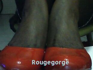 Rougegorge
