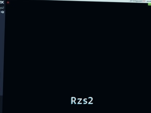 Rzs2