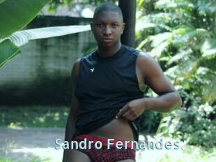 Sandro_Fernandes