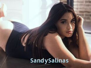 SandySalinas