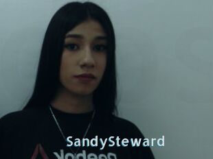 SandySteward