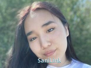 SaniLink