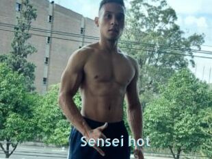 Sensei_hot