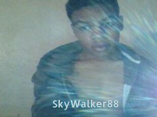 SkyWalker88