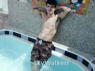 SkyWalkerr