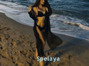 Spelaya