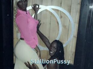 StallionPussy