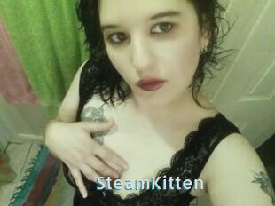 SteamKitten