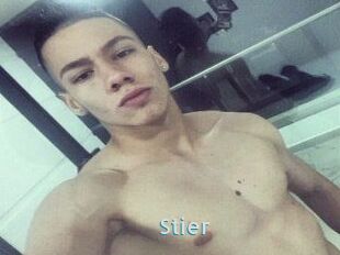 Stier