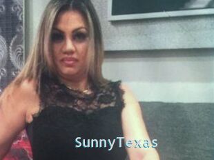 SunnyTexas