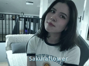 Sakuraflower