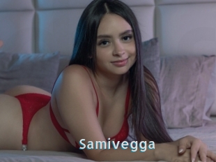 Samivegga