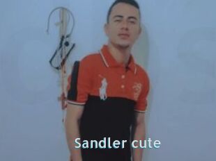 Sandler_cute