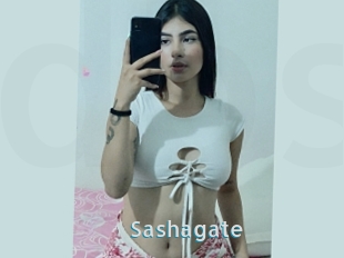 Sashagate