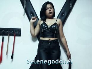 Selenegoddnes