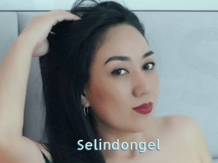 Selindongel