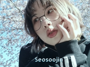 Seosoojin