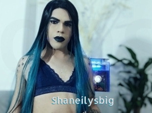 Shaneilysbig