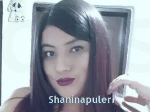 Shaninapuleri