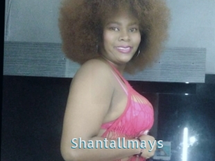 Shantallmays