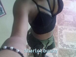 Sharlot_bunny
