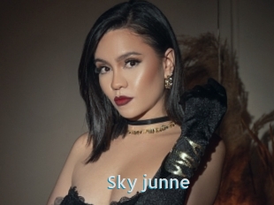 Sky_junne