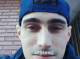 Skyleer