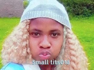 Small_tits018