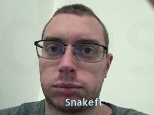 Snakefl