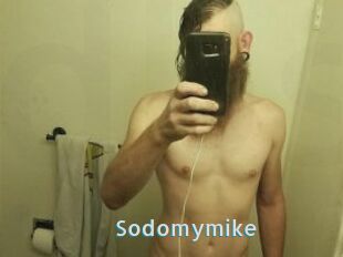 Sodomymike