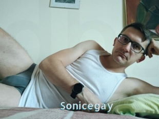 Sonicegay