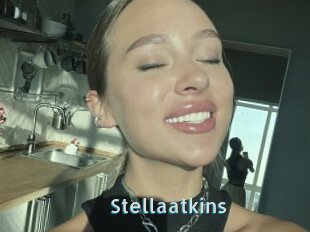 Stellaatkins